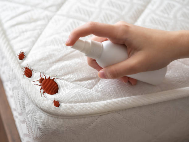 Best Real Estate Pest Inspections  in Portola Valley, CA